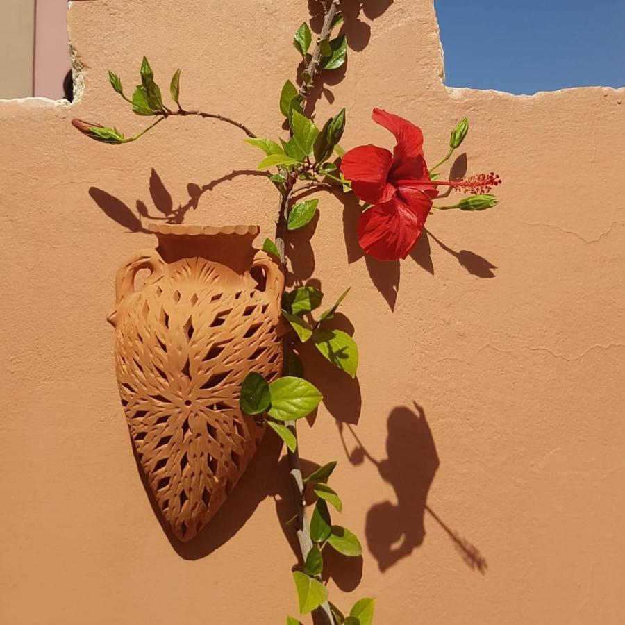 Chambres d'Hôtes les amis Taroudant Exterior foto